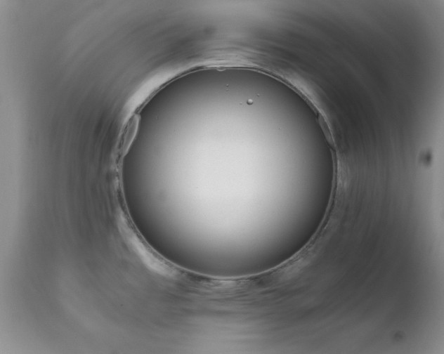 X0000111811485200907301221