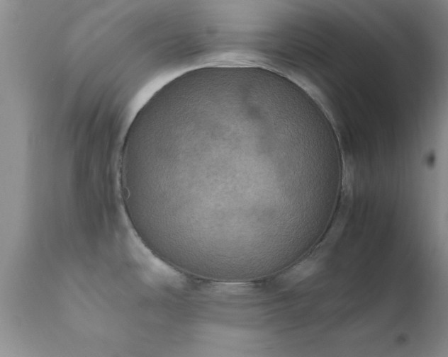 X0000111811486200907301221