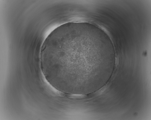 X0000111811487200907301221