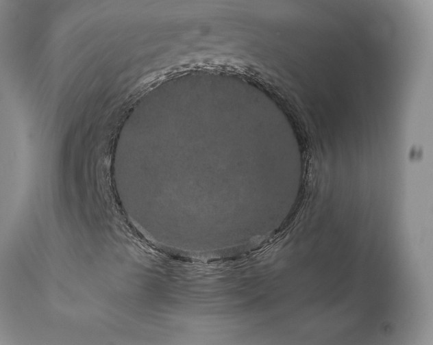 X0000111811489200907301220