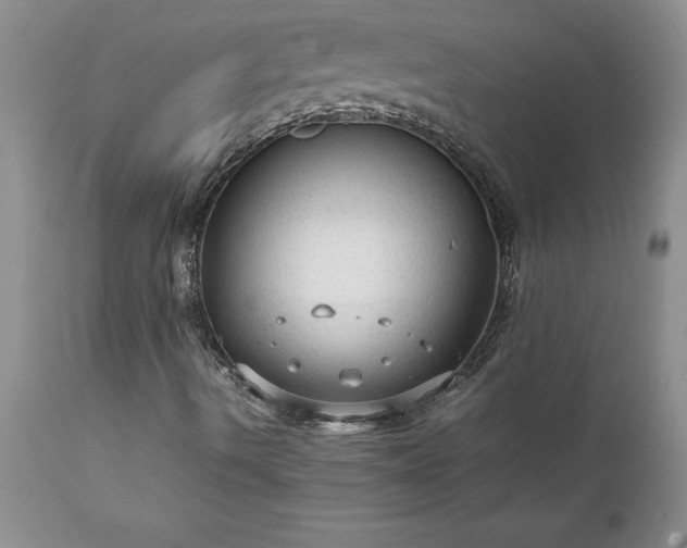 X0000111811490200907301220
