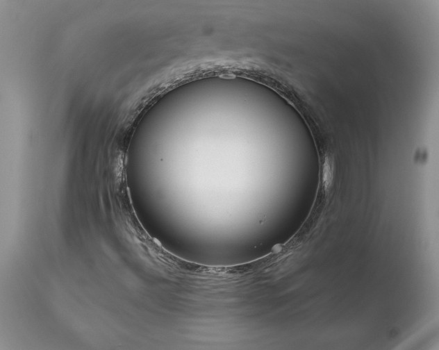 X0000111811492200907301220