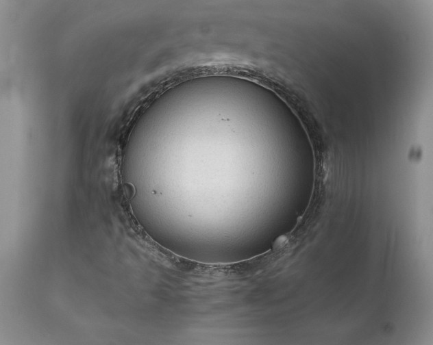 X0000111811493200907301220