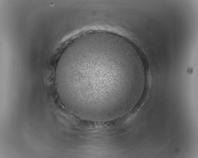 X0000111811494200907301220