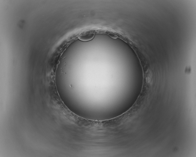 X0000111811495200907301220