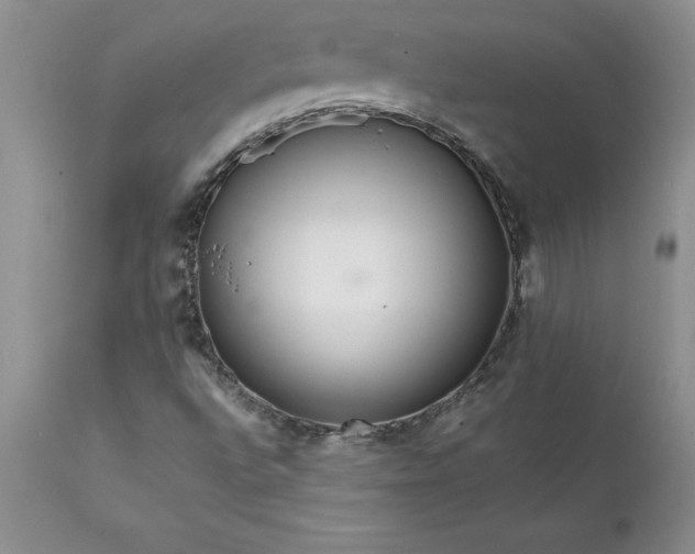 X0000111811496200907301220