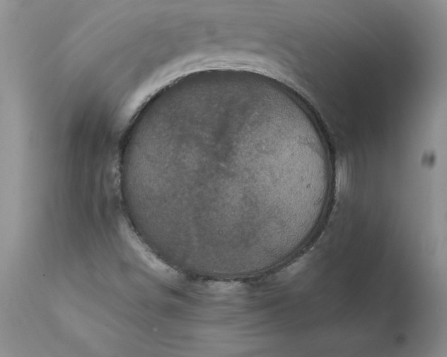 X0000111811498200907301220