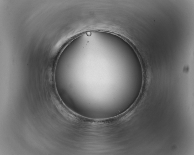 X0000111811499200907301220