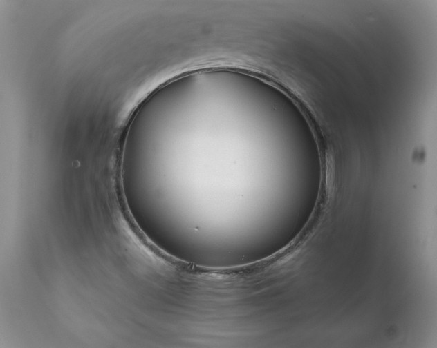 X0000111811500200907301220