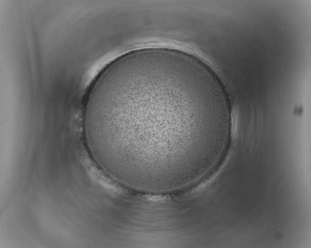 X0000111811501200907301220