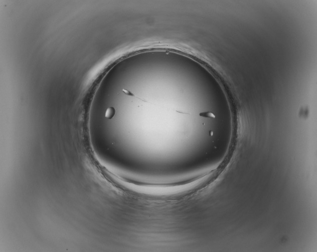 X0000111811502200907301220