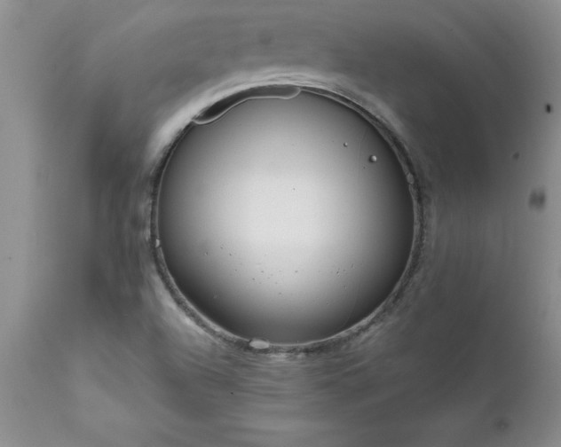 X0000111811504200907301221