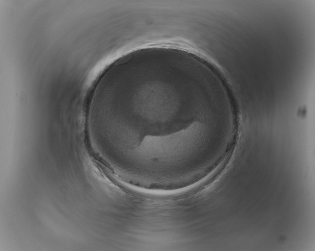 X0000111811506200907301221