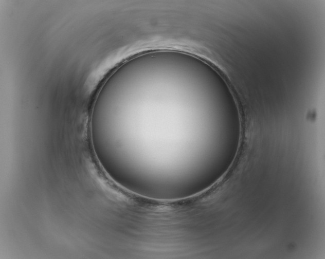 X0000111811507200907301221