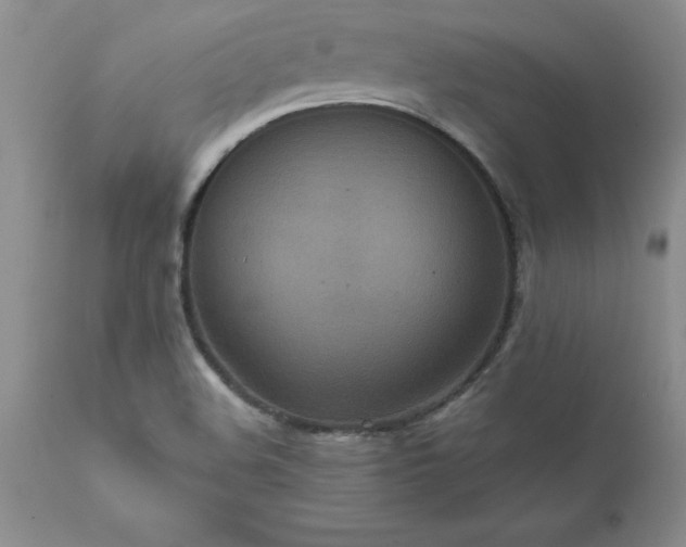 X0000111811508200907301221