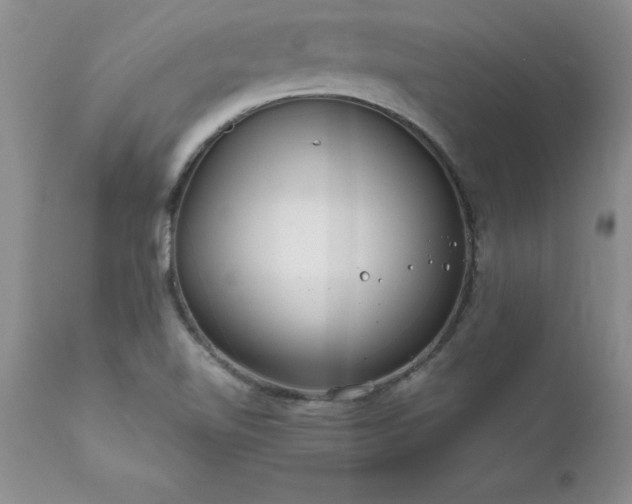 X0000111811510200907301221