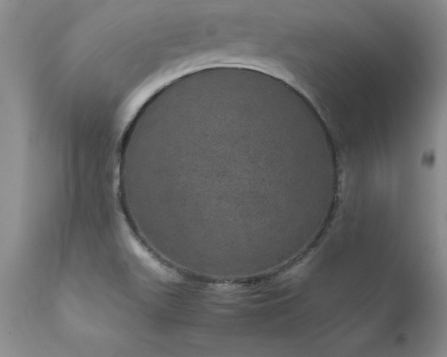 X0000111811511200907301221