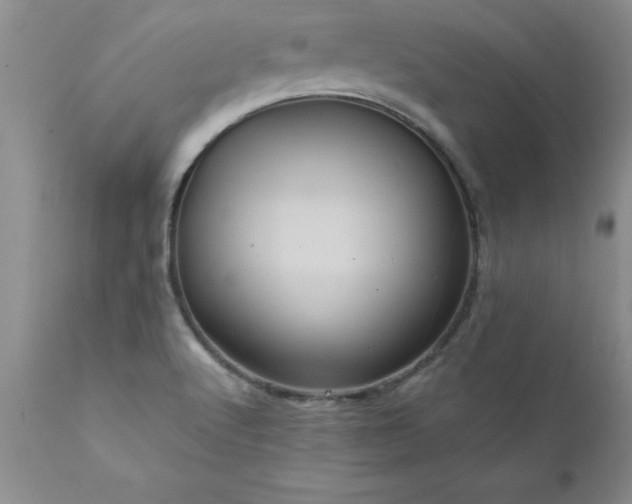 X0000111811512200907301221