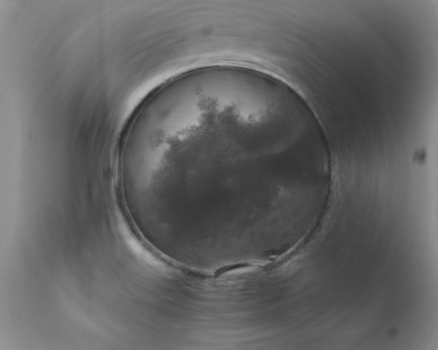 X0000111811515200907301221