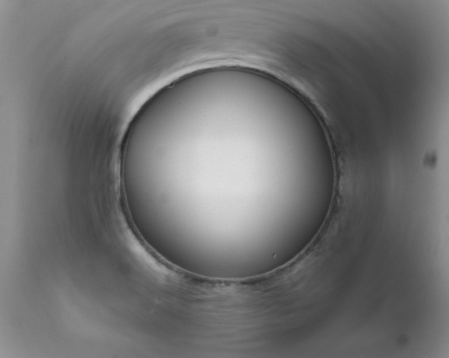 X0000111811516200907301221