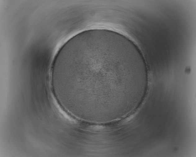 X0000111811517200907301221