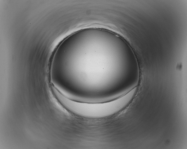 X0000111811518200907301221