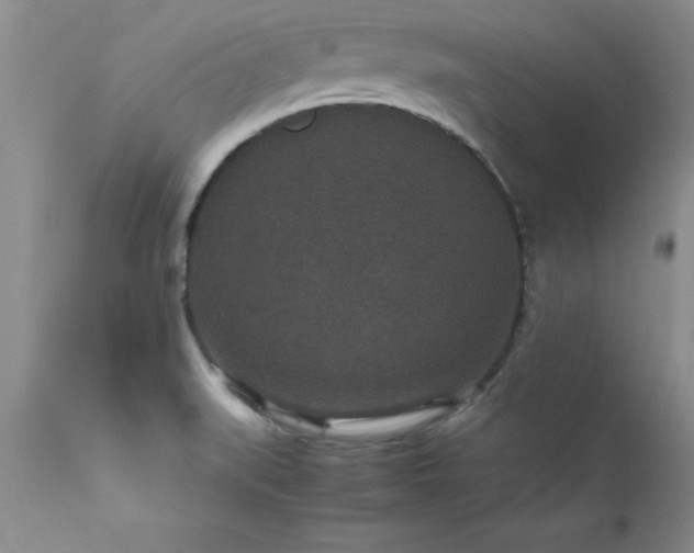 X0000111811519200907301221