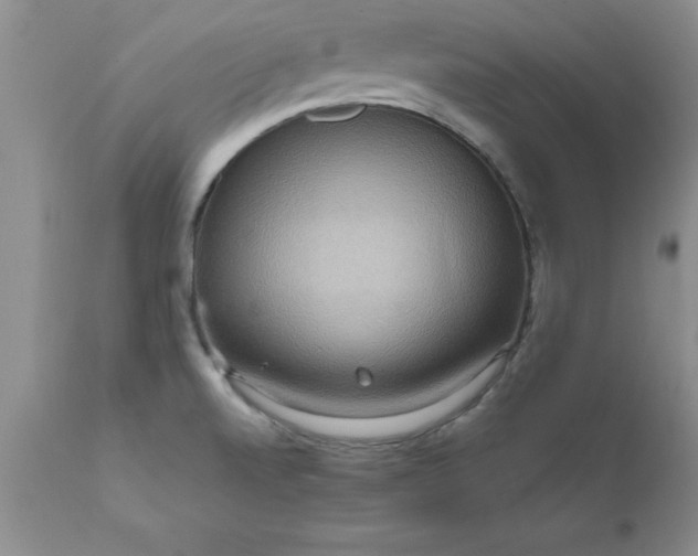 X0000111811520200907301221