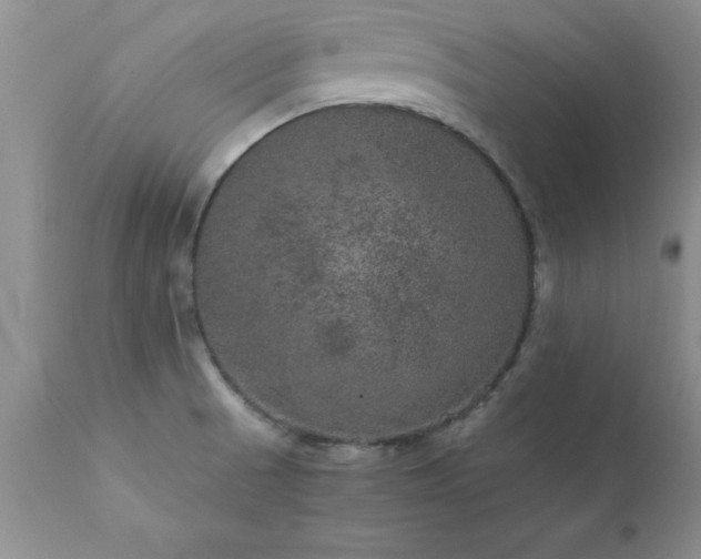 X0000111811521200907301221