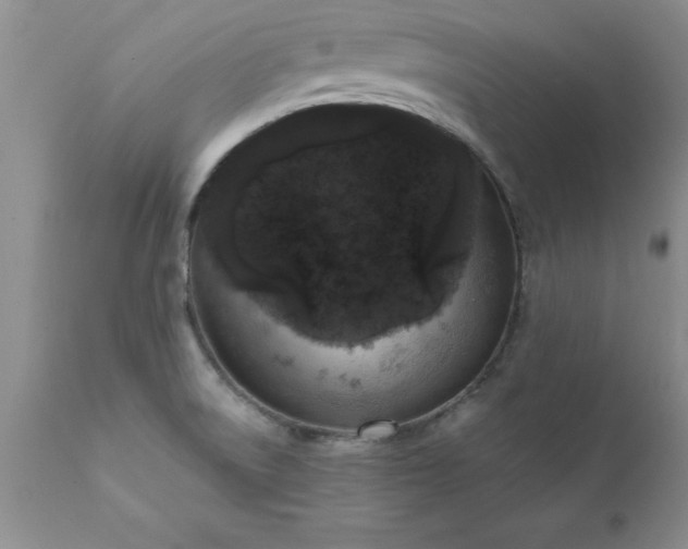 X0000111811522200907301221