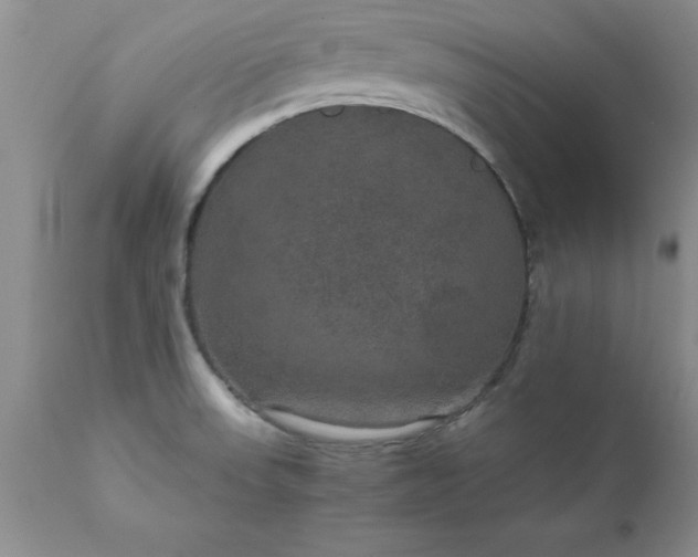 X0000111811523200907301221