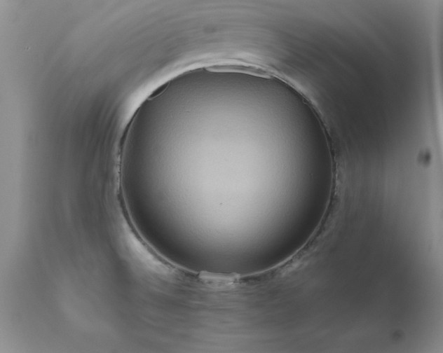X0000111811524200907301221