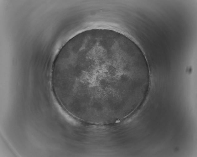 X0000111811525200907301221