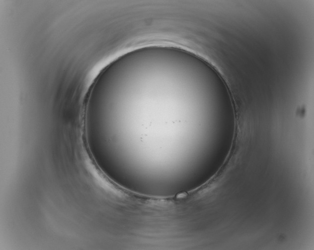 X0000111811526200907301221