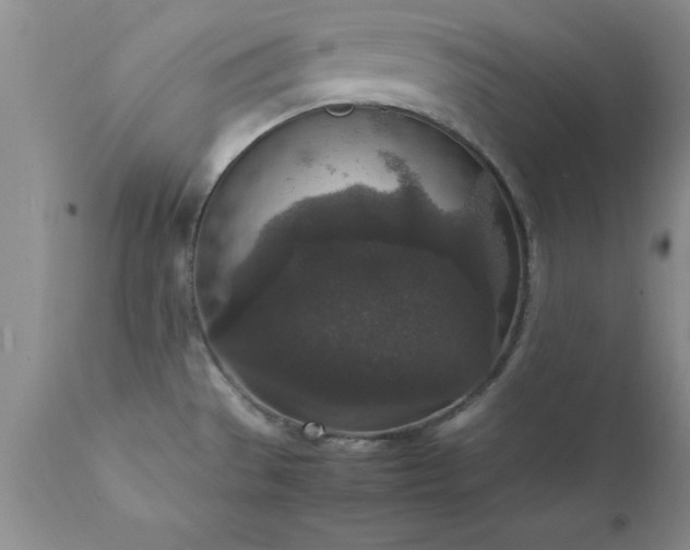 X0000111811529200907301221