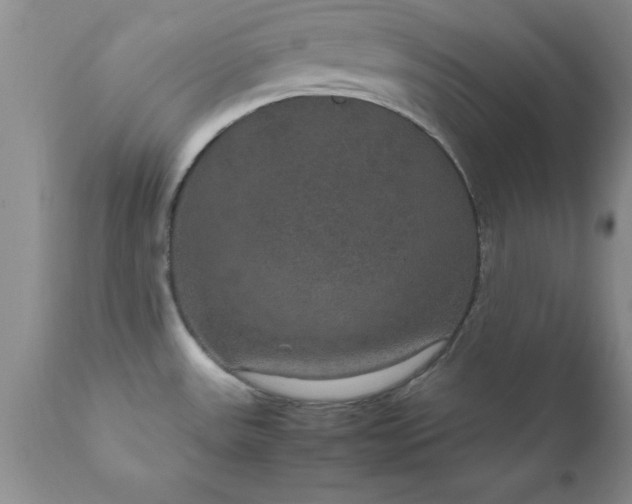 X0000111811531200907301221