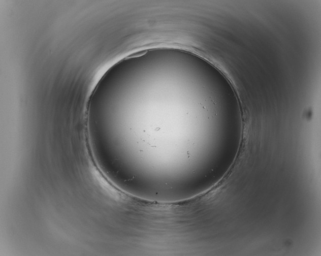 X0000111811532200907301221
