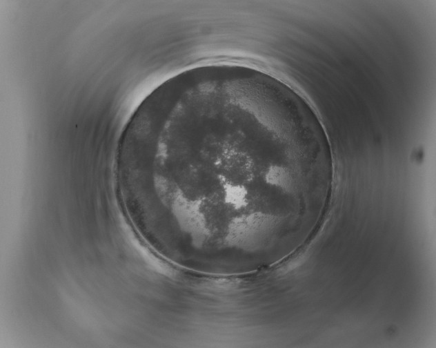 X0000111811533200907301221
