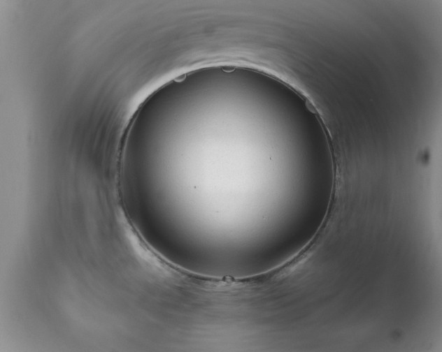 X0000111811534200907301221