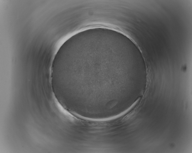 X0000111811535200907301221
