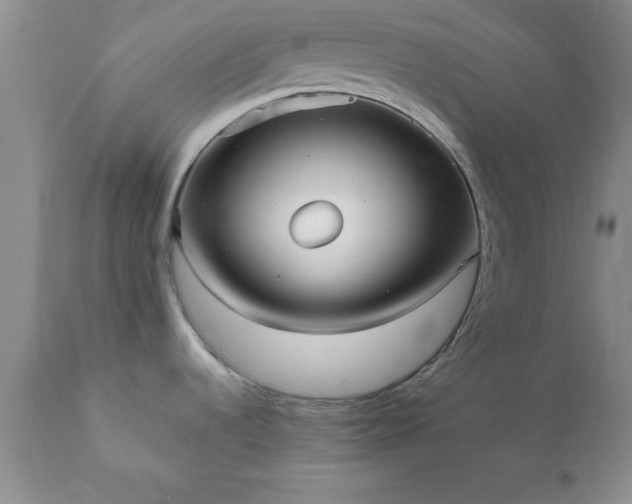 X0000111811536200907301221