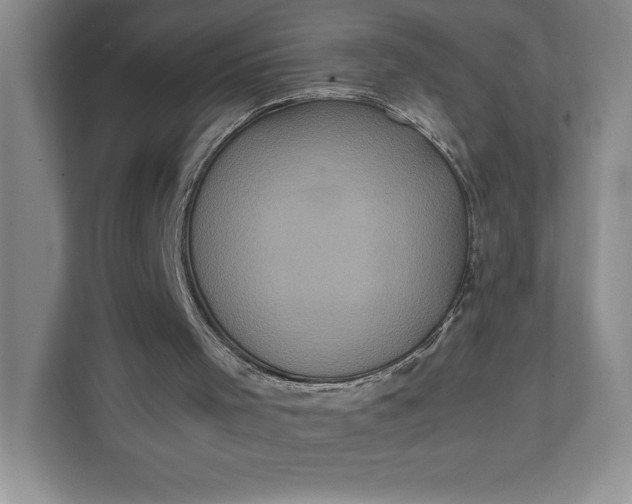 X0000111810001200908061124