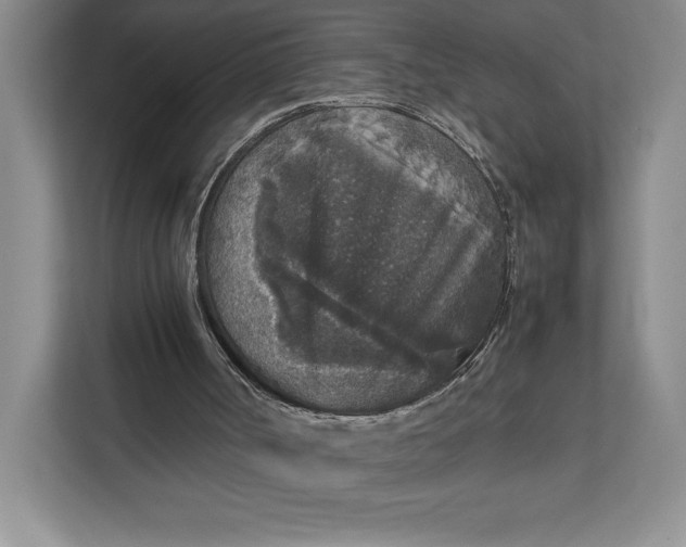 X0000111810002200908061124