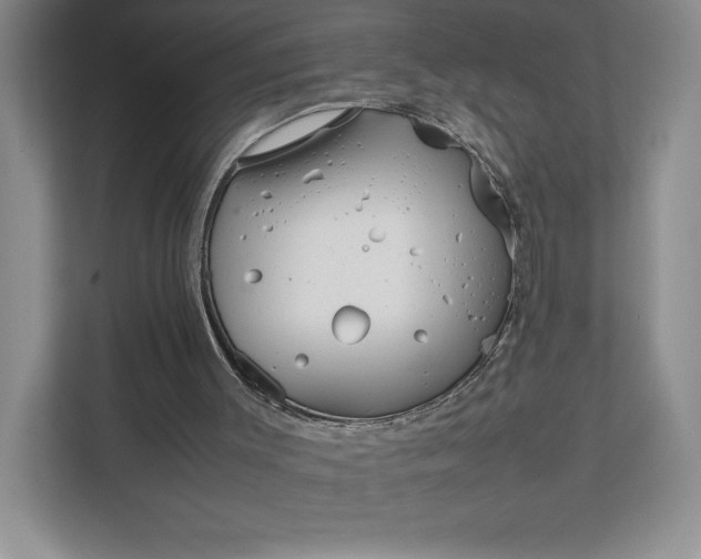 X0000111810003200908061124