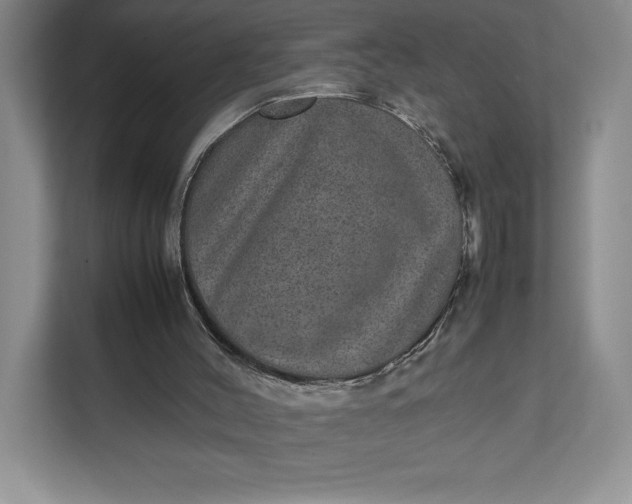 X0000111810004200908061124