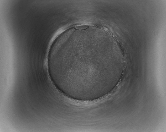 X0000111810006200908061124