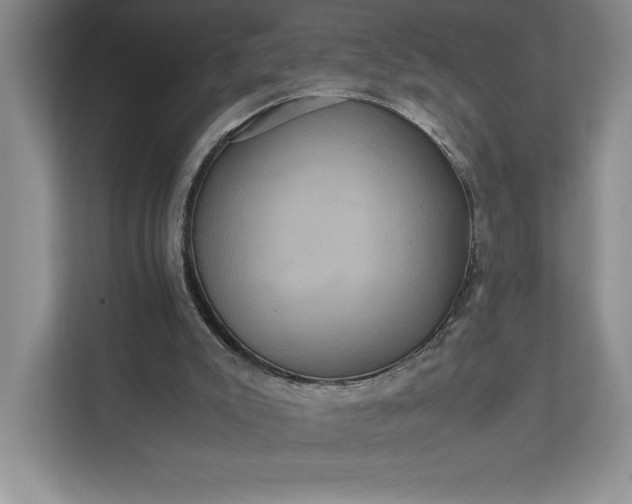 X0000111810007200908061124