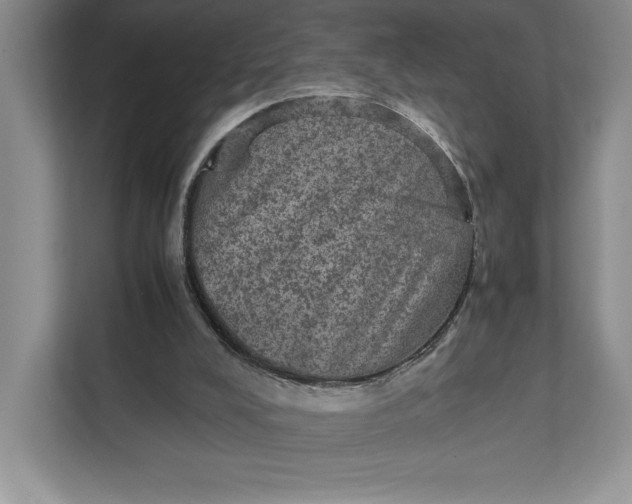X0000111810008200908061124