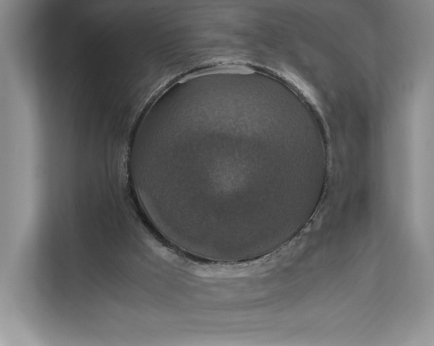 X0000111810009200908061124