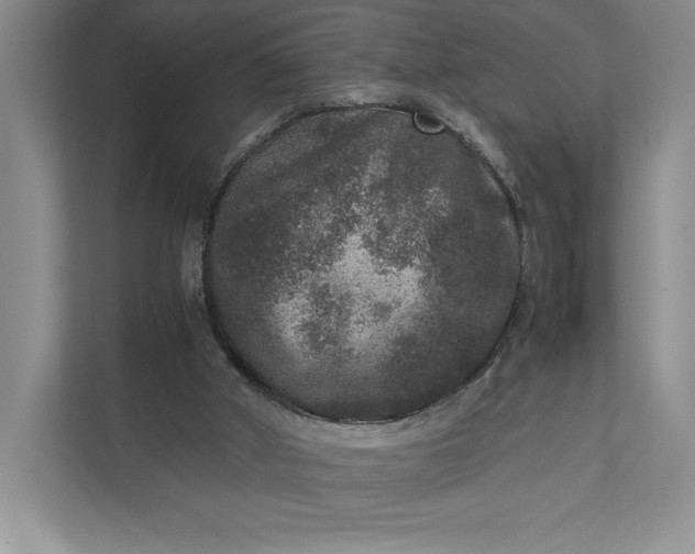 X0000111810010200908061124